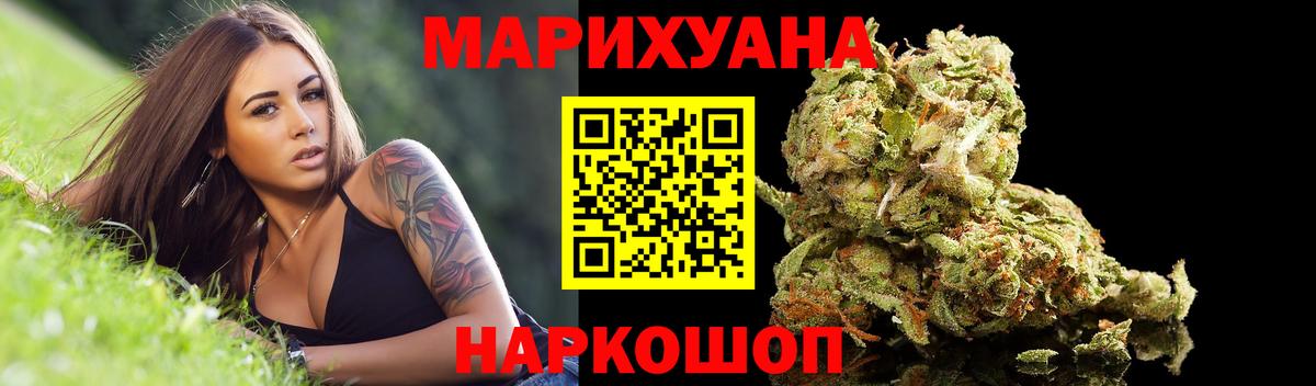 Бошки Шишки семена Лесосибирск